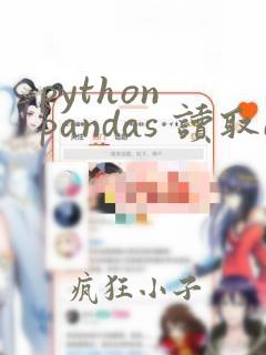 python pandas 读取excel每一行