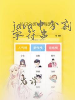 java中分割字符串