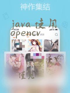 java 使用opencv
