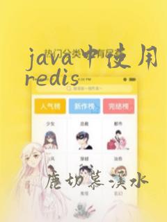 java中使用redis