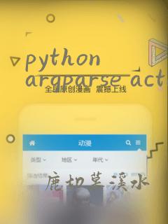python argparse action