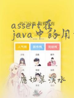 assert在java中的用法