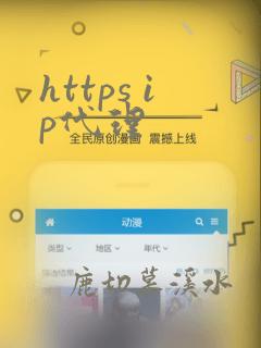 https ip代理