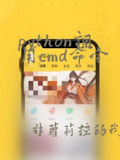python调用cmd命令