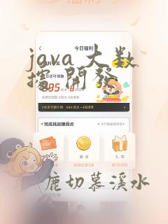 java 大数据 开发