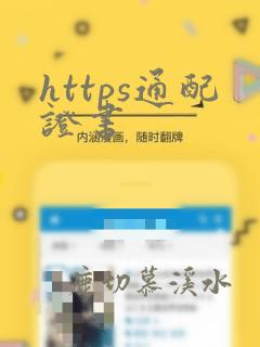 https通配证书