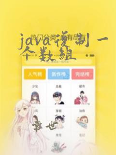 java复制一个数组