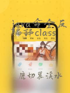 java命令反编译class