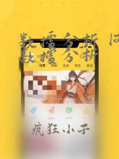 数据分析 网络数据分析