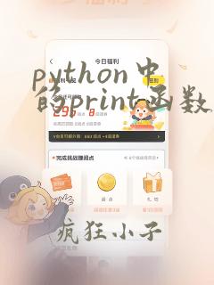 python中的print函数