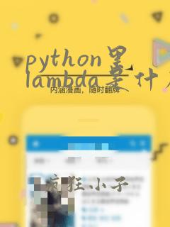 python里lambda是什么意思