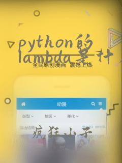 python的lambda是什么