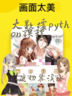 大数据python课程