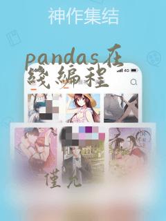 pandas在线编程