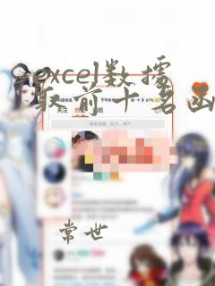 excel数据取前十名函数