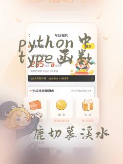python中type函数