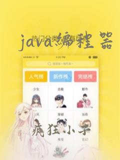 java编程器