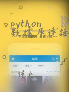 python 数据库连接池和并发