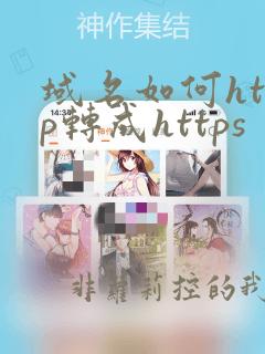 域名如何http转成https