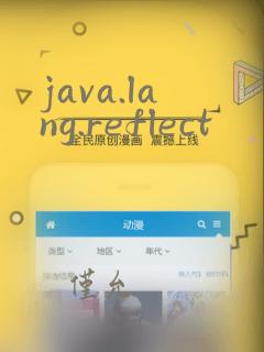 java.lang.reflect