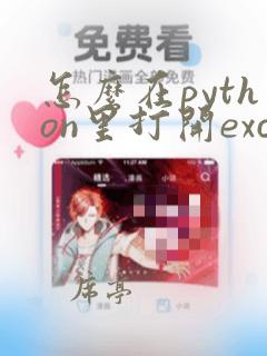 怎么在python里打开excel