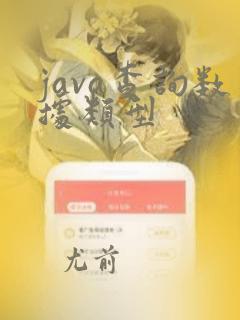 java查询数据类型