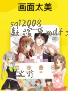 sql2008数据库mdf文件 恢复