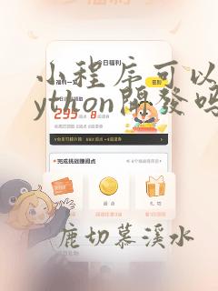 小程序可以用python开发吗