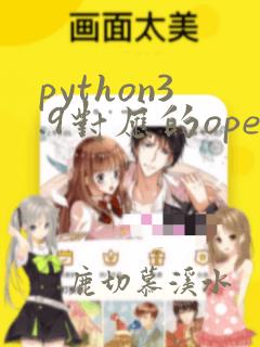 python3.9对应的opencv版本