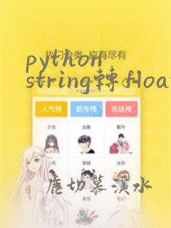 python string转float