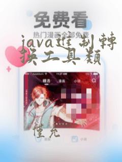 java进制转换工具类