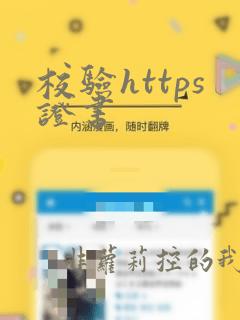 校验https证书