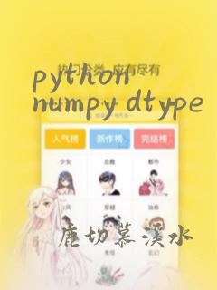 python numpy dtype