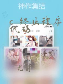 c  终止程序代码