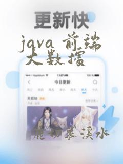 java 前端 大数据
