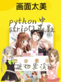 python中strip()函数