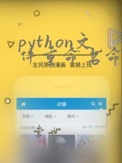python文件重命名命令