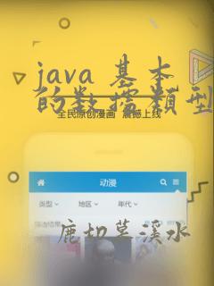 java 基本的数据类型