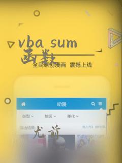 vba sum函数