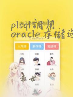 plsql调用oracle存储过程