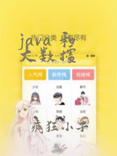java 和 大数据