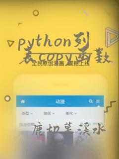python列表copy函数