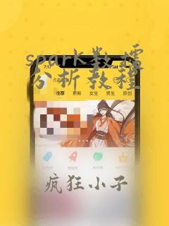 spark数据分析教程