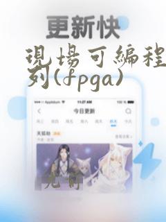 现场可编程门阵列(fpga)