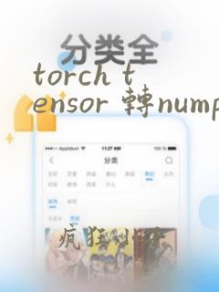 torch tensor 转numpy