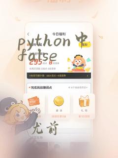 python中false