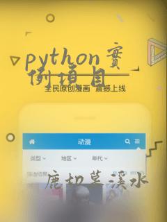 python实例项目