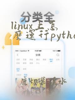 linux上怎么运行python