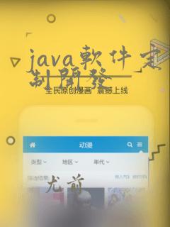 java软件定制开发