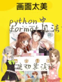 python中format用法详解
